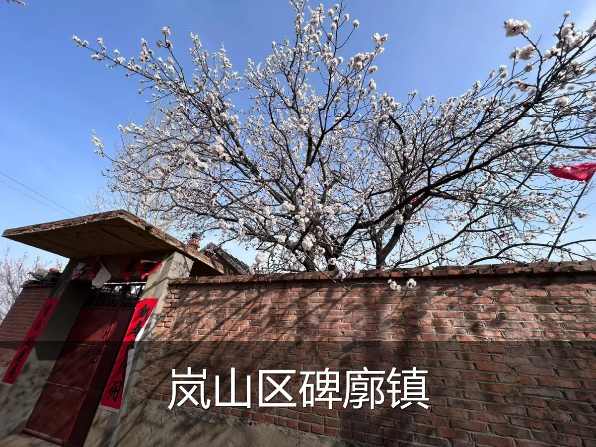 岚山区碑廓镇