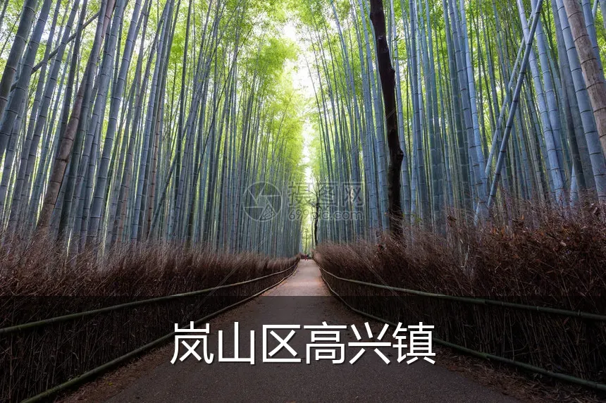 岚山区高兴镇