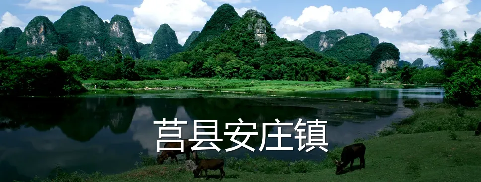 莒县安庄镇
