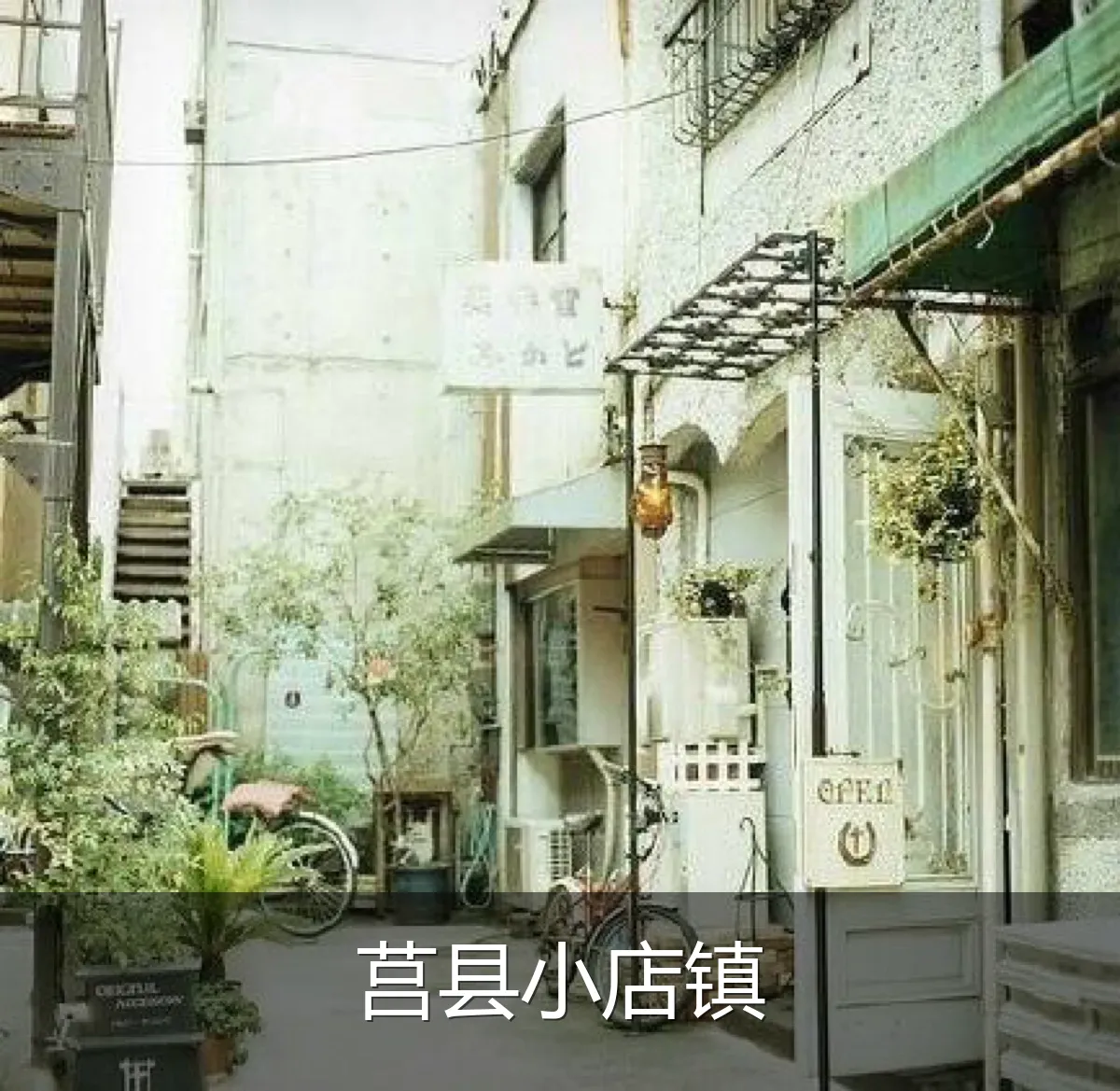 莒县小店镇